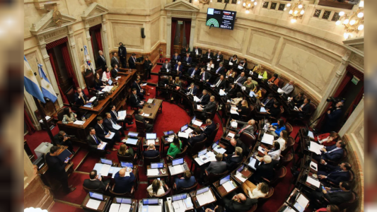 Senado: los jefes de los bloques pidieron retrotraer el aumento en las dietas