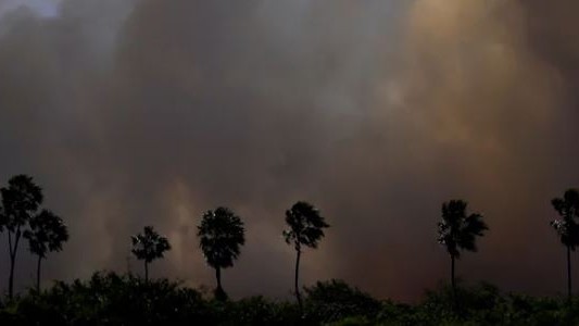 Incendios en los humedales de Brasil alcanzaron niveles récord