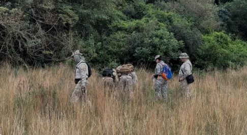 Por qué desaparecen los niños: un flagelo global que sacude a la Argentina y la región