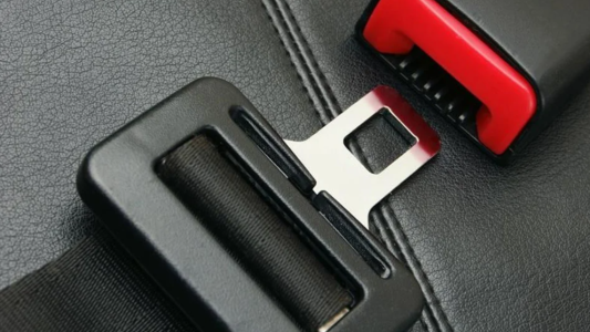 Lo multaron por no usar el cinturón de seguridad en el auto y apeló hasta llegar a la Corte Suprema