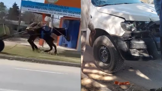 Video: un caballo desbocado revoleó al carrero y terminó chocando una camioneta