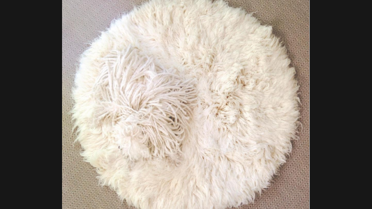 Mark Zuckerberg compartió fotos del camuflaje de su perro y se hicieron virales