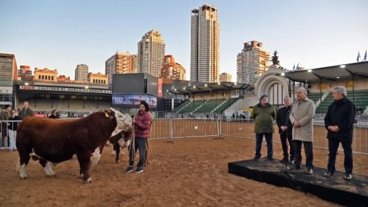 Lautaro Místico, el primer Hereford de la 136⁰ Exposición Rural