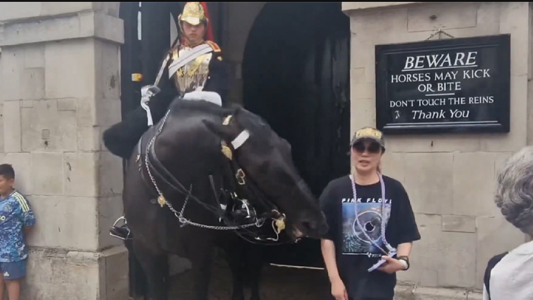 Video: la mordió un caballo de la Guardia Real cuando quería sacarse una foto