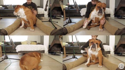 El joven que hace música con el cuerpo de su perro