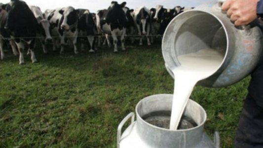 Por primera vez otorgan un crédito que se paga en litros de leche