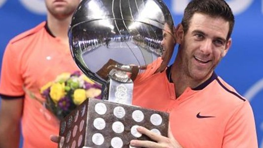 Del Potro se impuso en Estocolmo y logró su primer título del año