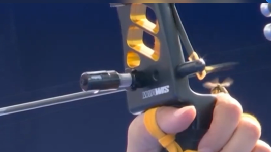 La abeja de la suerte: la picó cuando tiraba y con esa ejecución logró la medalla dorada