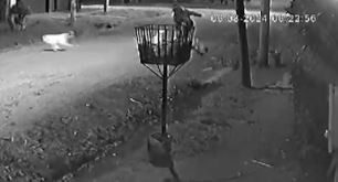 Pilar: una mujer fue atacada por una jauría cuando iba a trabajar