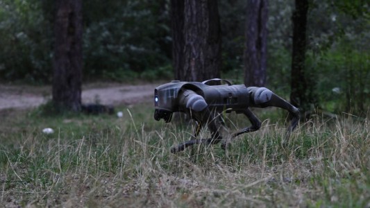 Ucrania suma a perros robot a la lucha en el frente de guerra