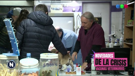 Novedades de la crisis: el descenso de la vacunación de mascotas en veterinarias
