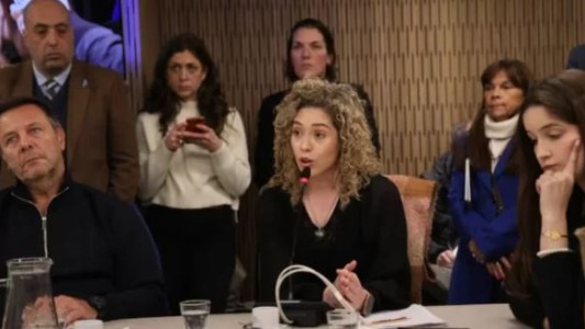 El audio del llanto de Arrieta en la escandalosa reunión libertaria: "Menem mirame, me hicieron una cama"