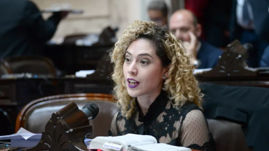 La diputada Arrieta expuso chats del bloque de La Libertad Avanza sobre la visita a represores