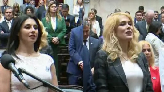 Otro cruce en La Libertad Avanza: Pagano calificó de "psiquiátrica" a Lemoine