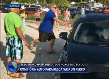 Rompió un auto para salvar a un perro