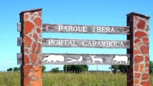 Una turista italiana denunció que fue violada en los Esteros de Iberá