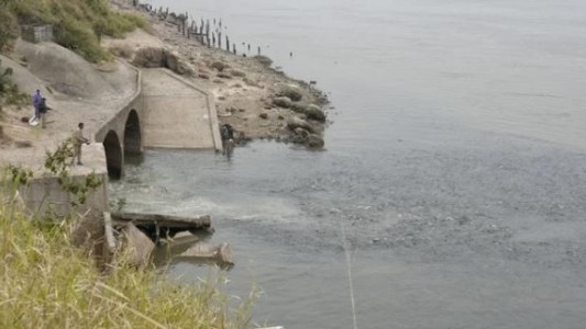 Tras la bajante del Paraná, aparecieron peces comiendo en el desagüe cloacal
