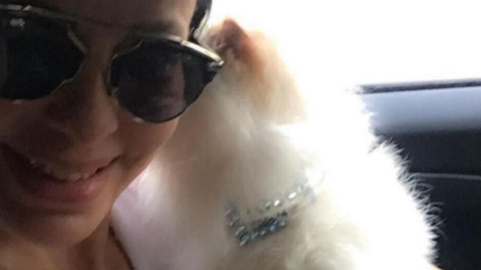 Daniela Cardone se tatuó a su gato embalsamado