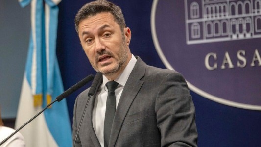 Petri cruzó a Lousteau: "No son dueños del partido, la UCR no tiene propietarios"