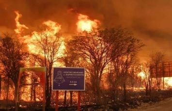 Incendios: Juntan firmas para que se declare la emergencia nacional