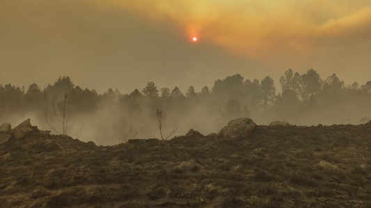 Fiscales ambientales piden que se legisle el Ecocidio
