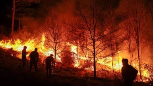 Una ONG internacional intima a la Argentina por su inacción en los incendios forestales