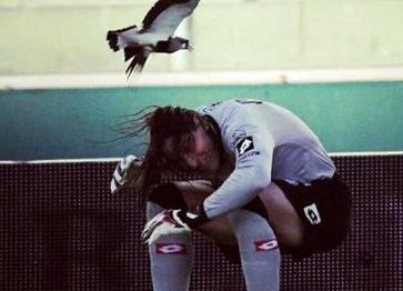 Olave paró el partido porque lo atacó un tero