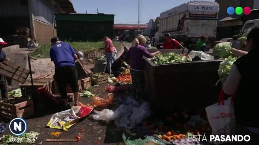 La crisis en primer plano: el drama de los que viajan al Mercado Central a buscar comida entre la basura
