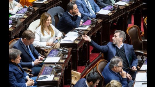 Congreso: El PRO se encamina a dividirse en la sesión por el financiamiento universitario