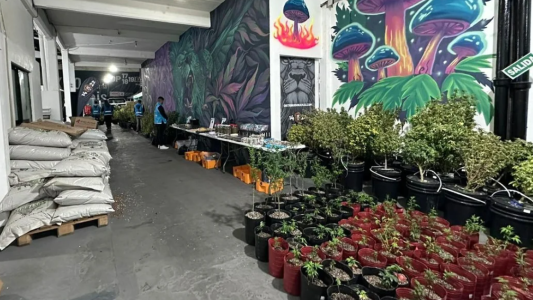 Desbarataron una banda narco que vendía “dulces mágicos” en redes sociales