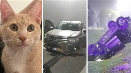 Vieron un accidente y quisieron ayudar: quienes volcaron eran ladrones en fuga y les robaron