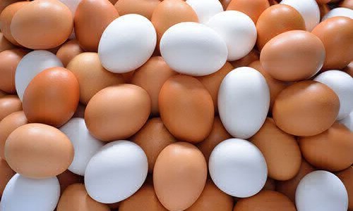 Derribando mitos: la verdadera diferencia entre huevos blancos y de color