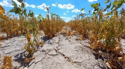 Un informe confirma que La Niña impactará fuertemente en Argentina con sequías y bajas precipitaciones