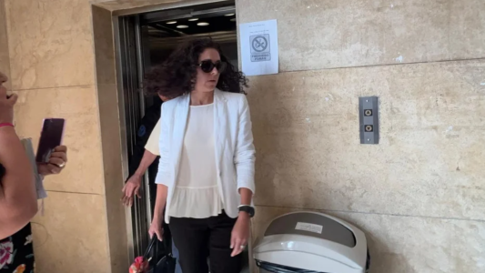 "No presencié ningún tipo de discusión", dijo la ex niñera del hijo de Alberto Fernández y Fabiola Yañez