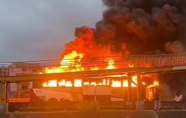 Salvaje emboscada de barras de Palmeiras a hinchas de Cruzeiro: un muerto y 11 heridos