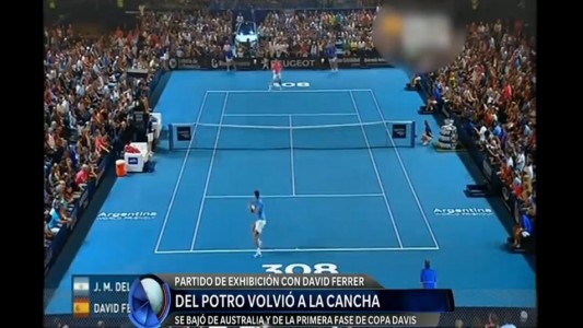 Del Potro venció al español Ferrer en su primer partido en Argentina tras ganar la Copa Davis
