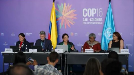 Con histórico reconocimiento a pueblos indígenas y comunidades afrodescendientes terminó la COP16 en Colombia
