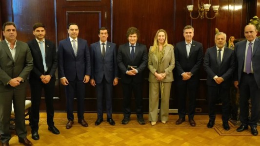 Gobernadores radicales se reunieron con Milei: analizaron la economía y evitaron polemizar sobre Alfonsín