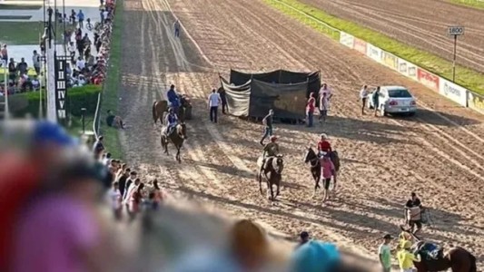 Sacrificaron a un caballo en plena carrera después de quebrarse las patas en el hipódromo de Rosario