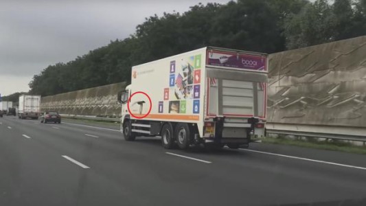 Video: la paloma que juega una carrera contra un coche en una autopista