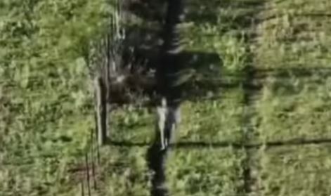 Encontraron a una nena perdida en La Pampa gracias al rastrillaje de un dron policial