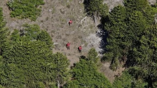 Buscan desesperadamente a un turista inglés en el Parque Nacional Lanín