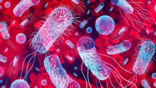 Brote de listeria en Estados Unidos: un bebé muere y se retiran productos del mercado
