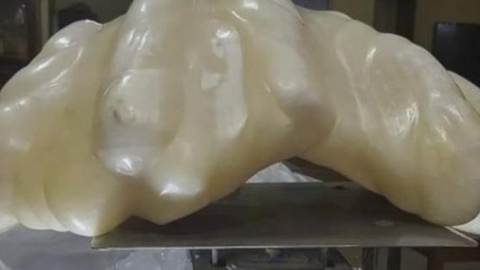 El hombre que pescó la perla más grande del mundo y no sabía que era millonario