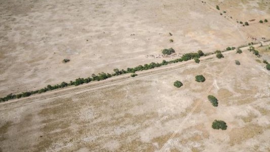 Declaran la emergencia agropecuaria en Santa Fe por la sequía