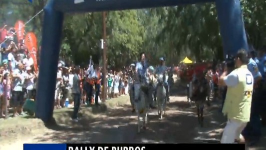 Un rally de burros en Córdoba