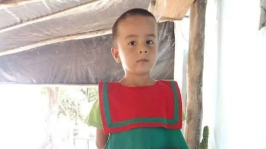 Caso Loan: comenzarán los rastrillajes en la zona de “El Algarrobal”