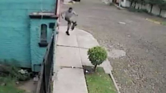 Furia en las redes por el hombre que patea a un gato en México