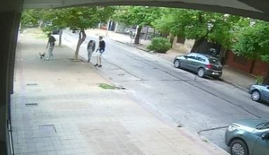 Horror en La Plata: después del brindis de Año Nuevo, desalmados revolean por el aire a un gato para divertirse