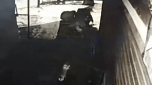 Una pareja fingió un momento romántico para robar en un restaurante